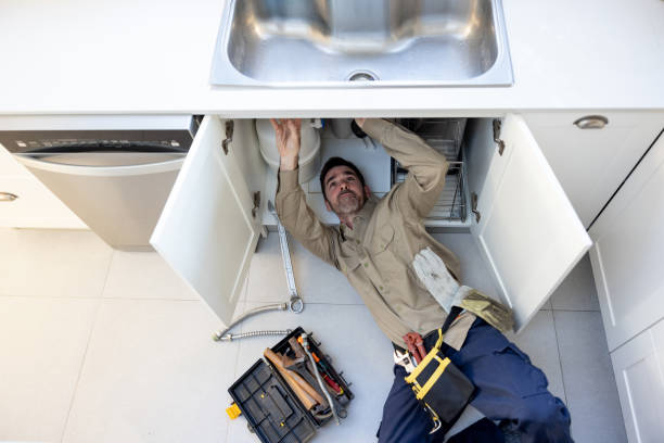 Best Plumbing Inspection Services  in Winfield, IL